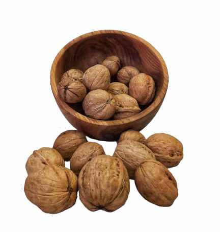 گردو ازبک