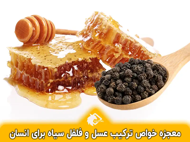 معجزه خواص ترکیب عسل و فلفل سیاه برای انسان_فروشگاه اینترنتی قارتال